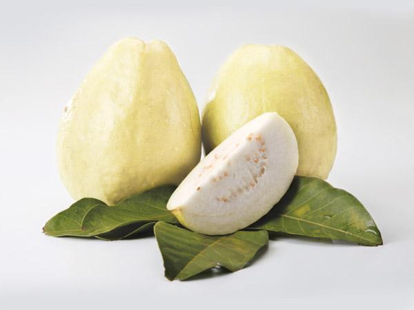 EL Gazar Foods