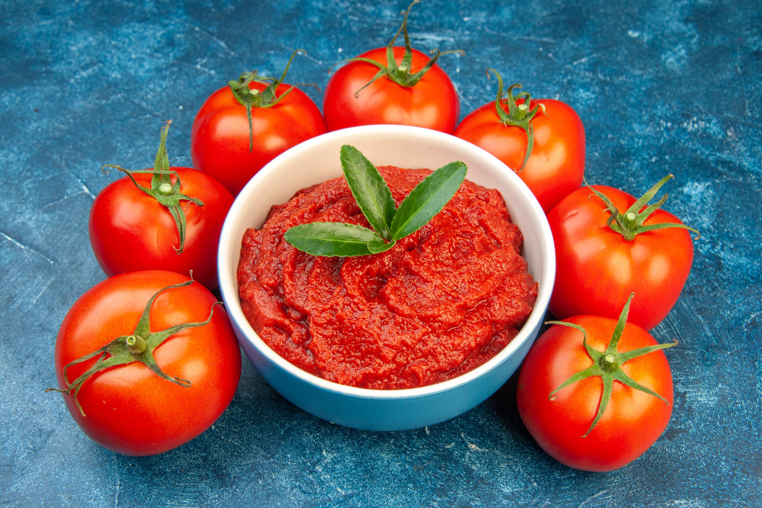 front-view-fresh-tomatoes-with-tomato-paste-blue-salad-red-tree-vegetable-color-food-ripe-scaled